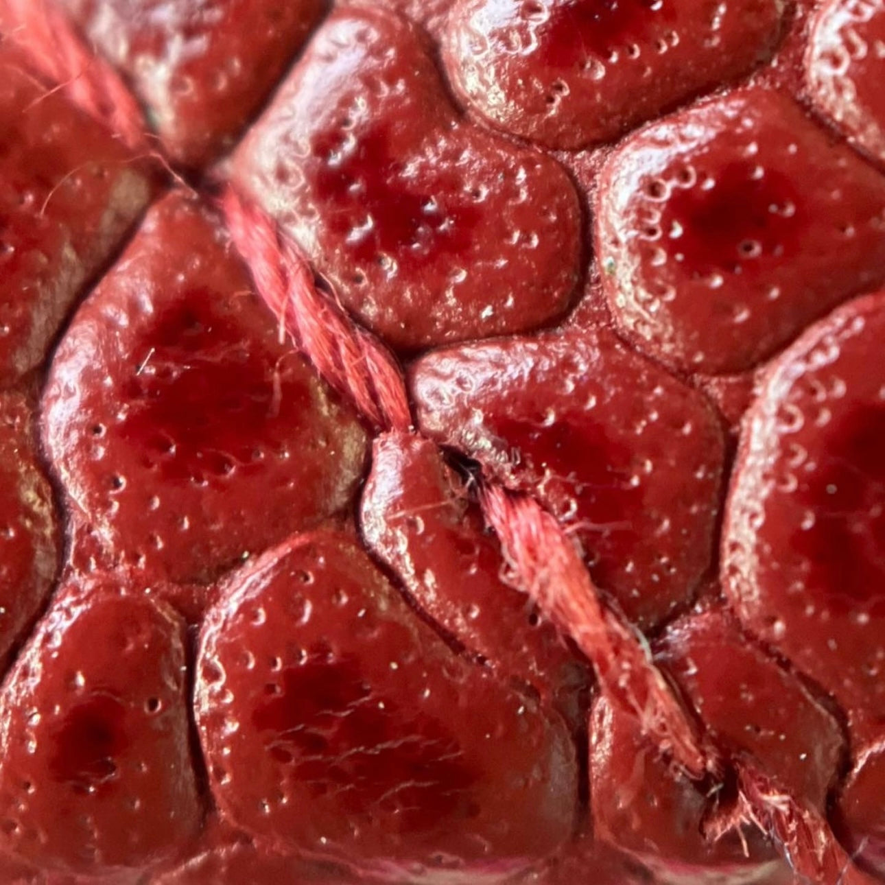 Why Your Caviar Leather Feels Plastic (And What It Really Is)