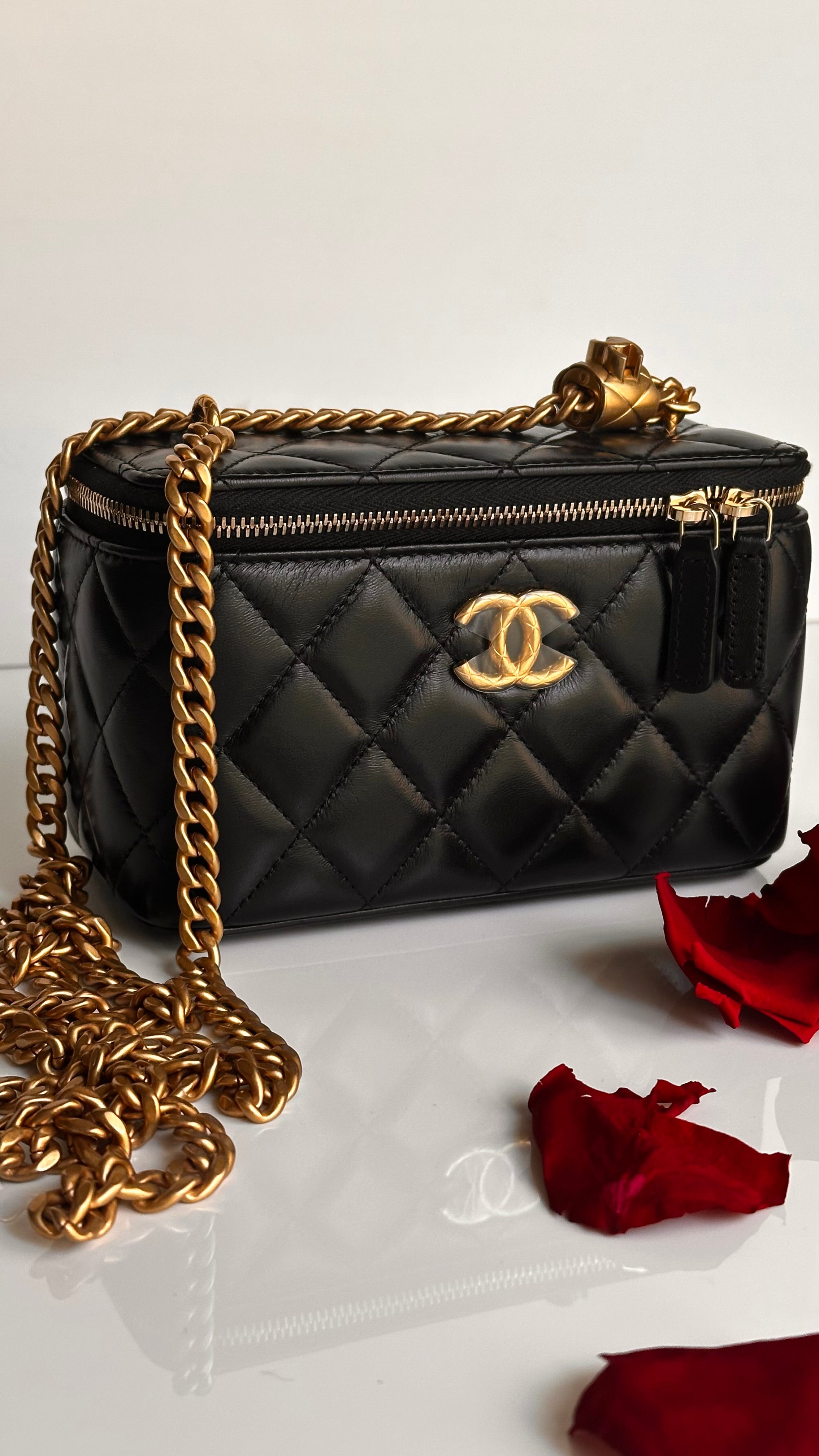 2023 Chanel All Side Long Vanity Bag Black Lambskin Aged Gold Hardware