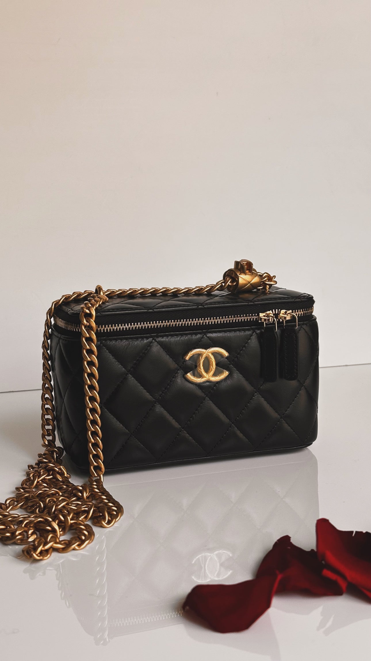 2023 Chanel All Side Long Vanity Bag Black Lambskin Aged Gold Hardware