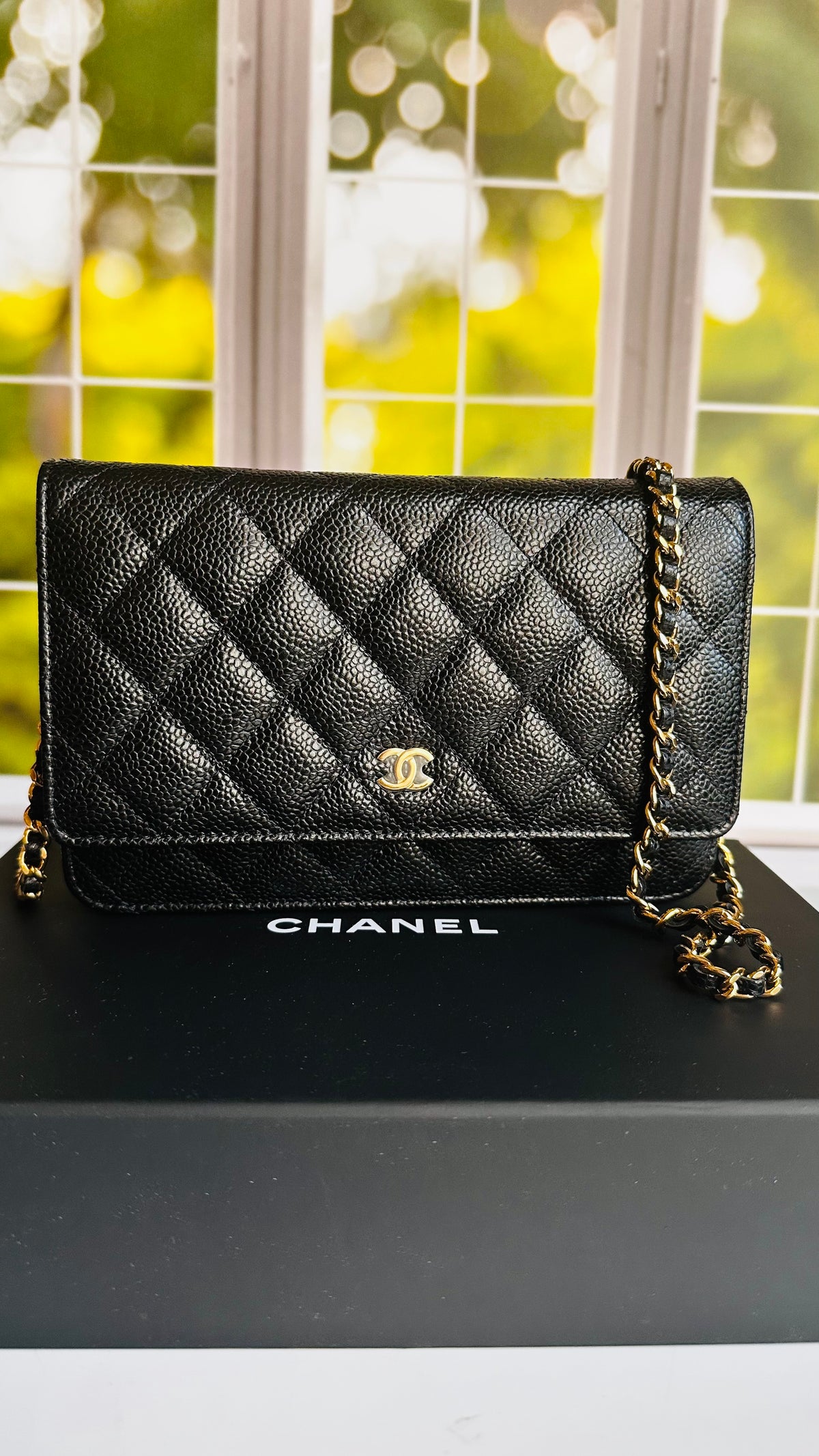 Chanel Wallet on Chain Black Caviar GHW