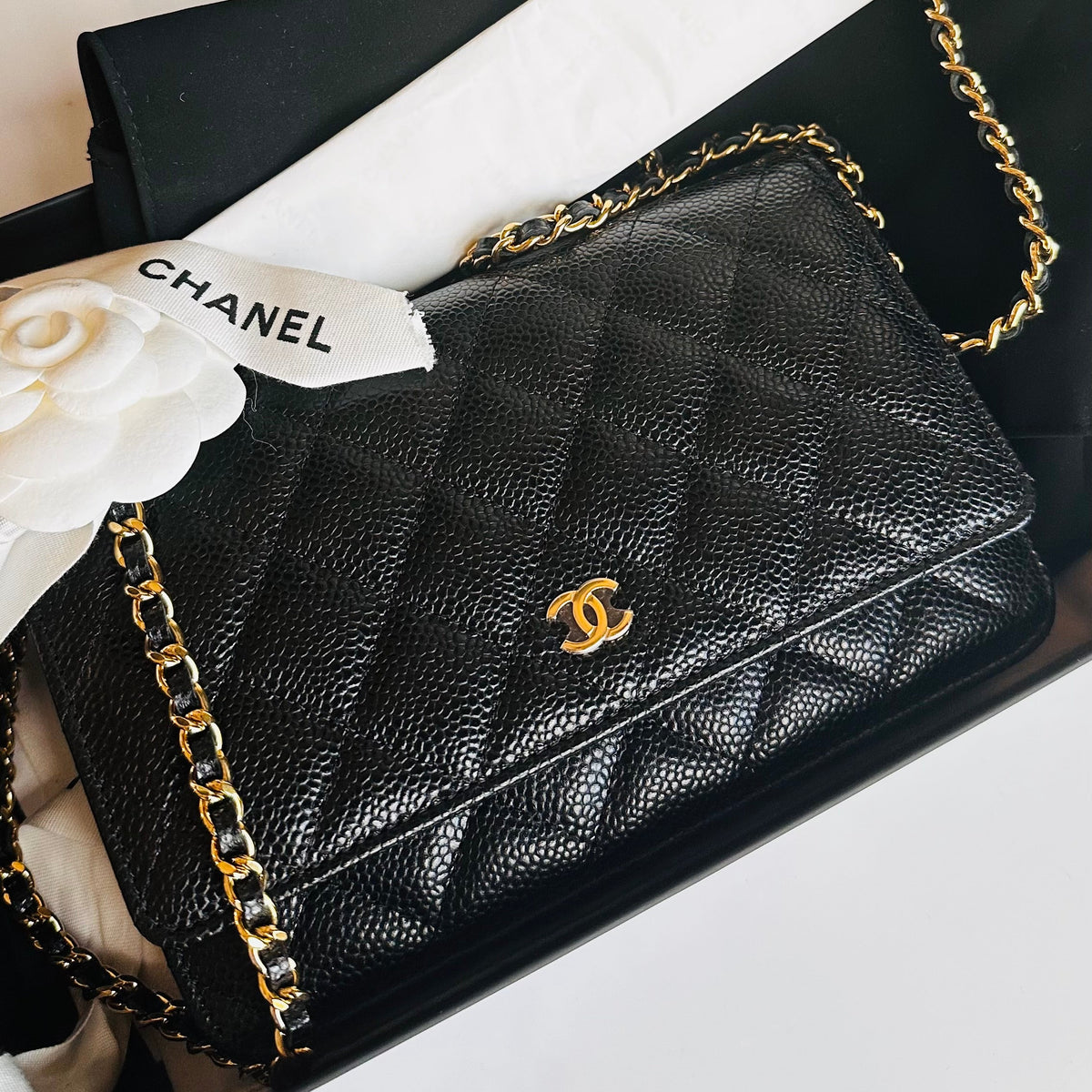 Chanel Wallet on Chain Black Caviar GHW