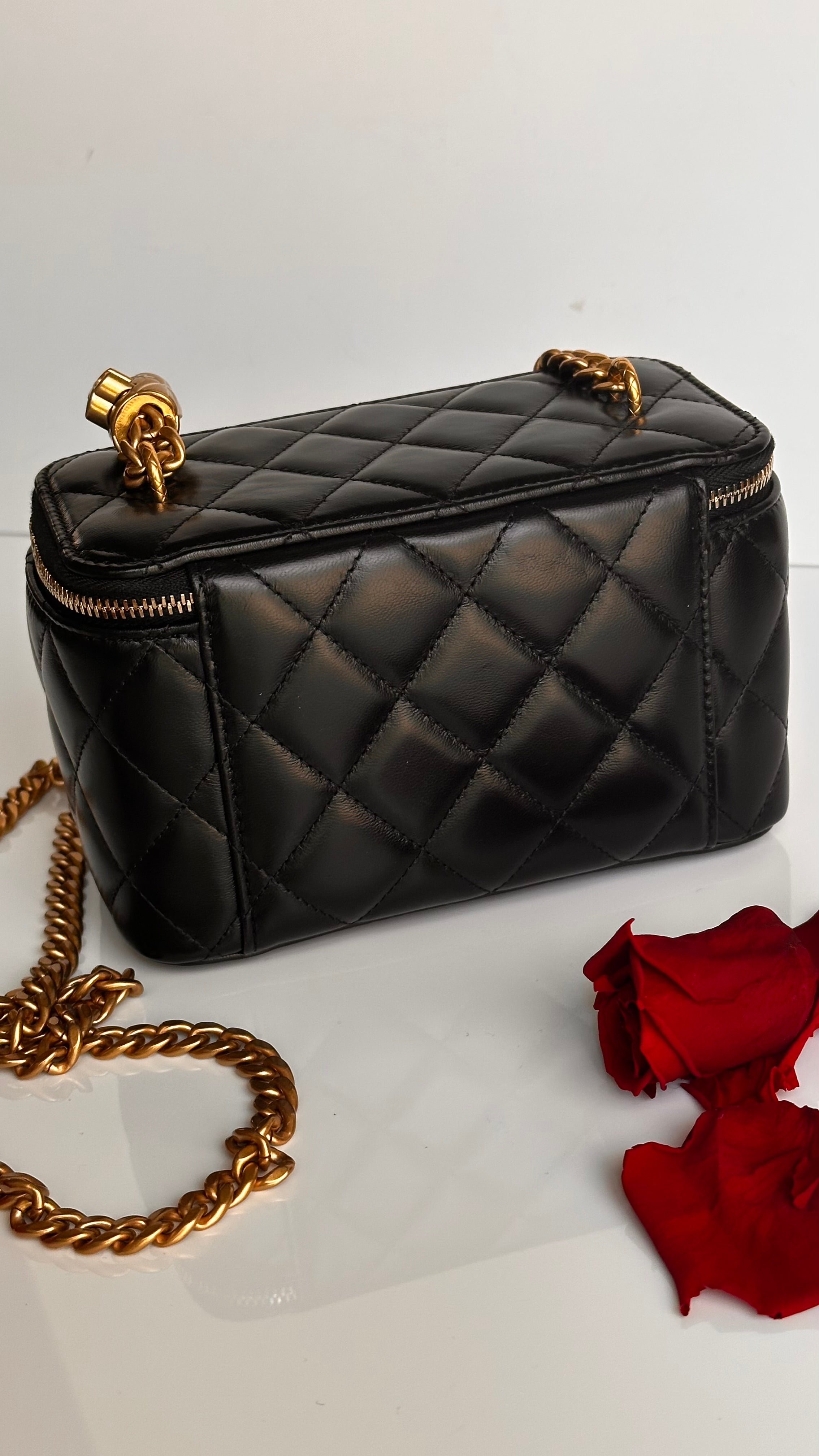 2023 Chanel All Side Long Vanity Bag Black Lambskin Aged Gold Hardware