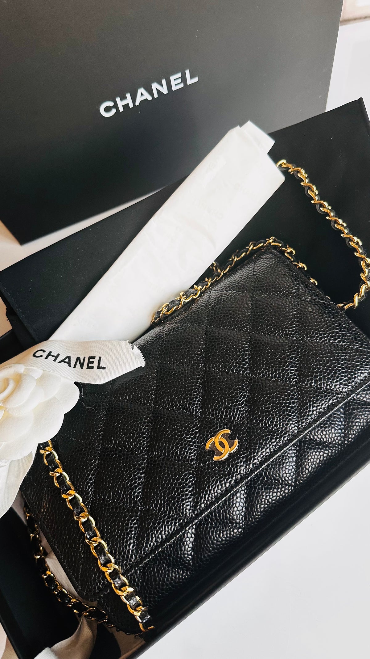 Chanel Wallet on Chain Black Caviar GHW