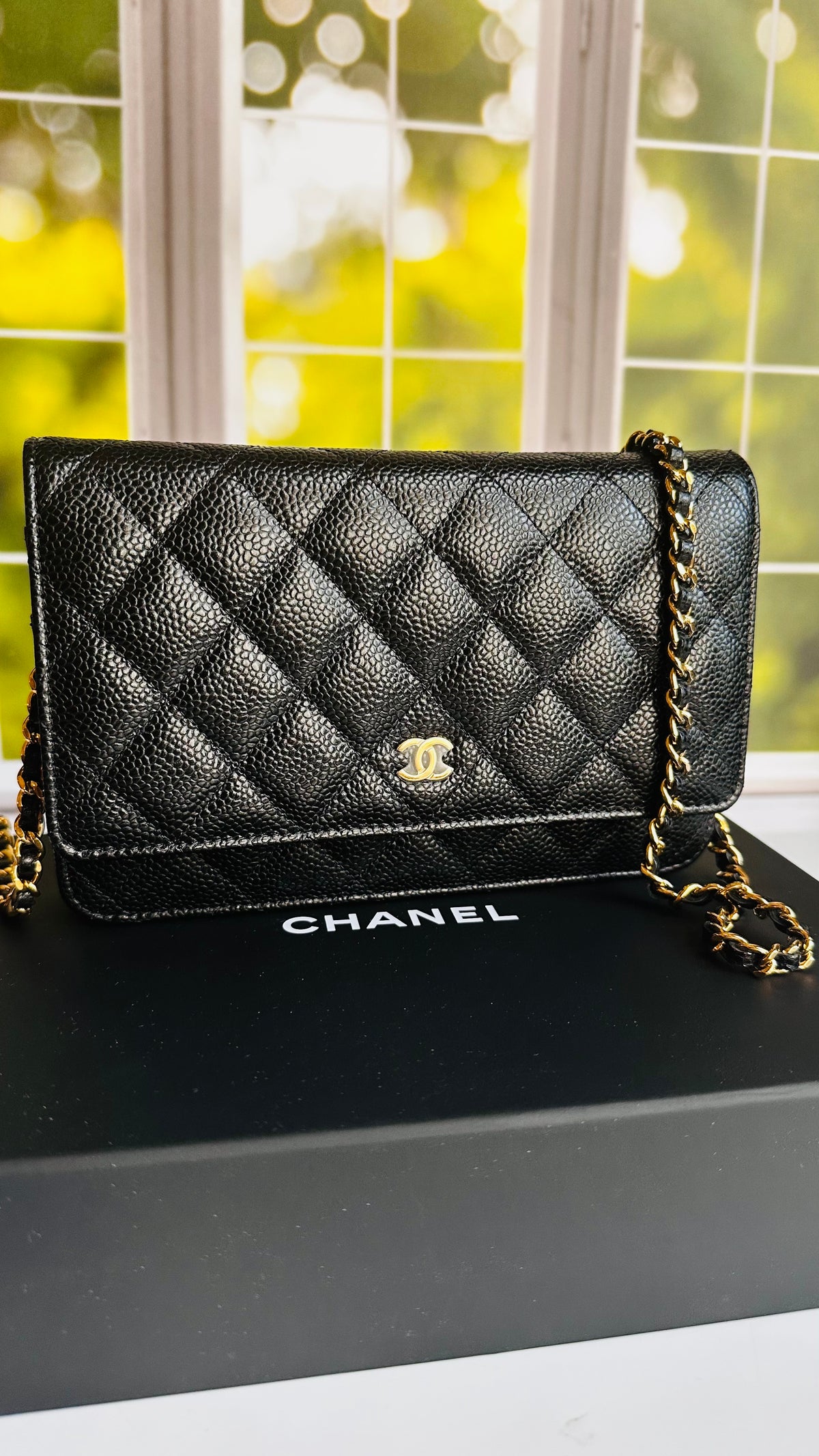 Chanel Wallet on Chain Black Caviar GHW