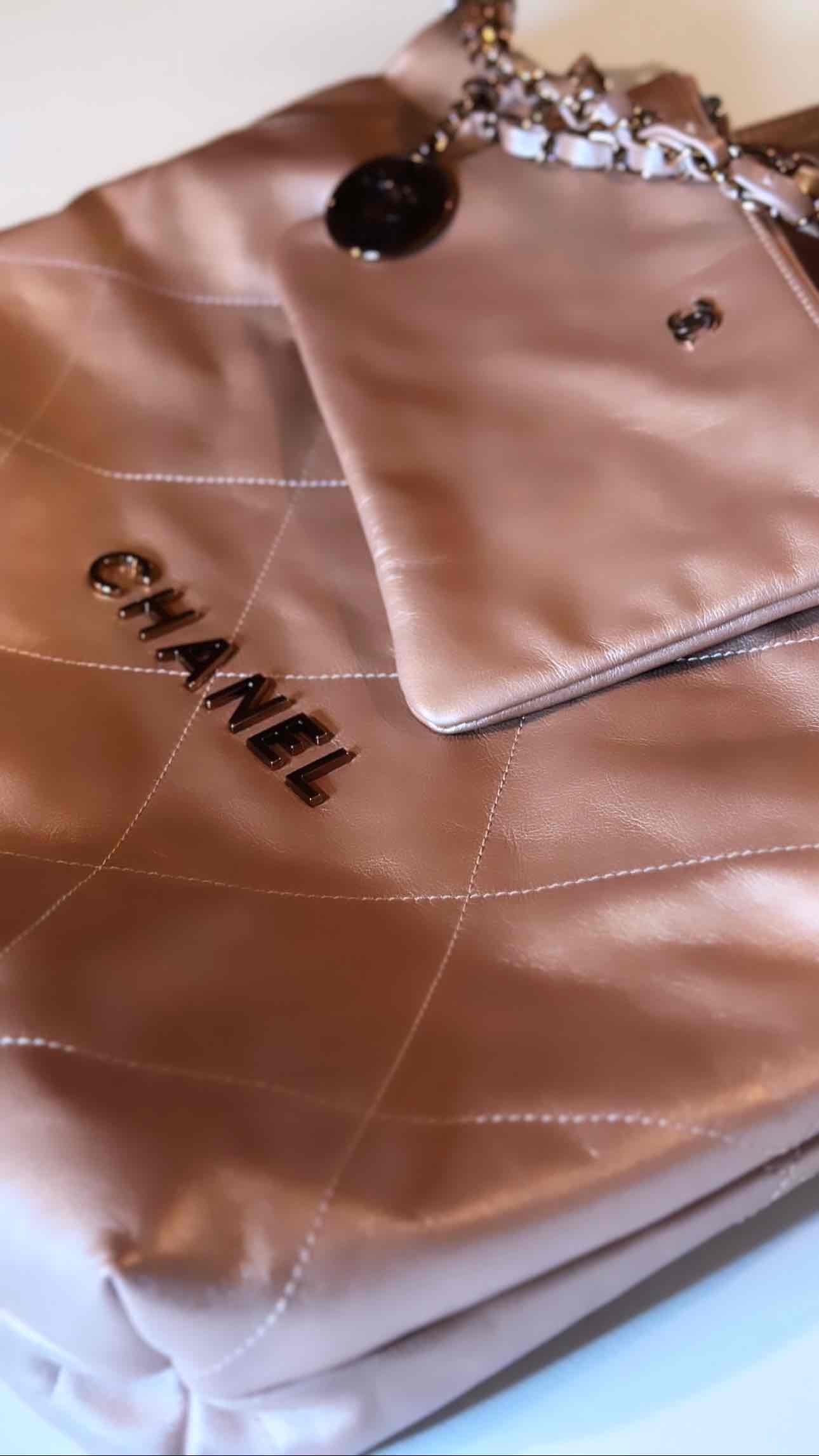 22A/Métiers D'art 2022 22 hobo Bag Metallic pink calfskin and rosé hardware