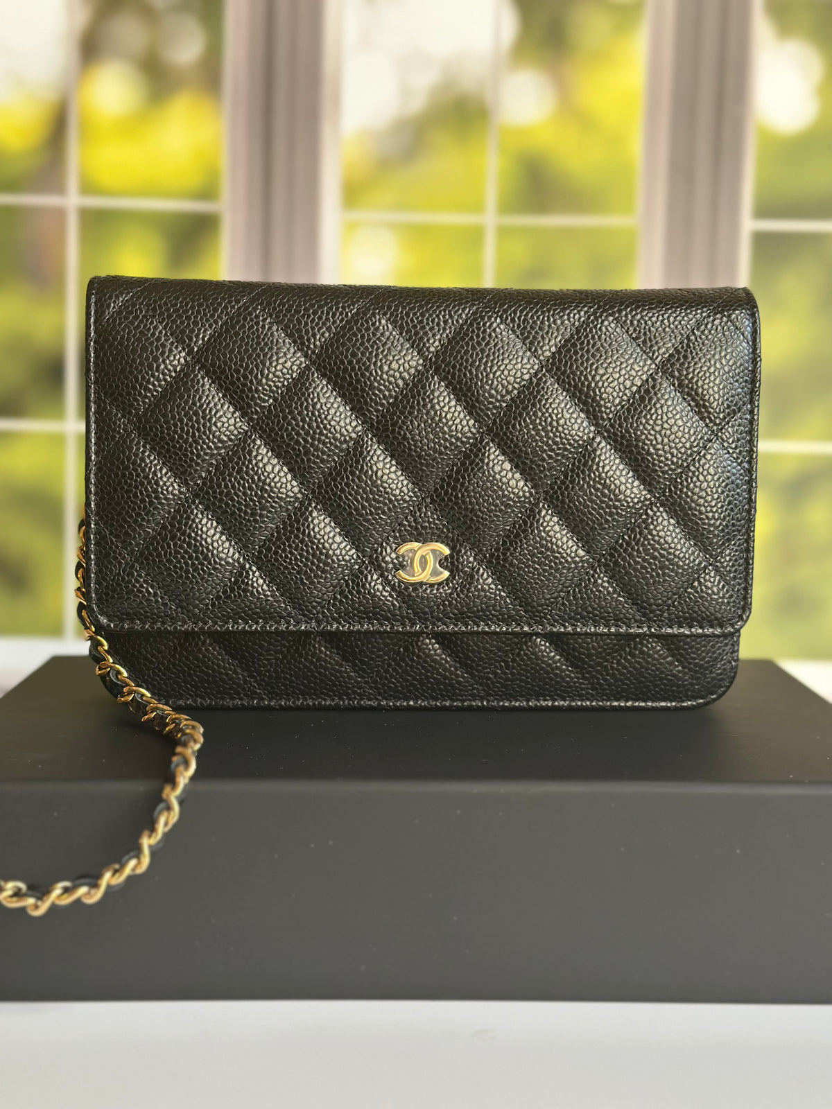 Chanel Wallet on Chain Black Caviar GHW