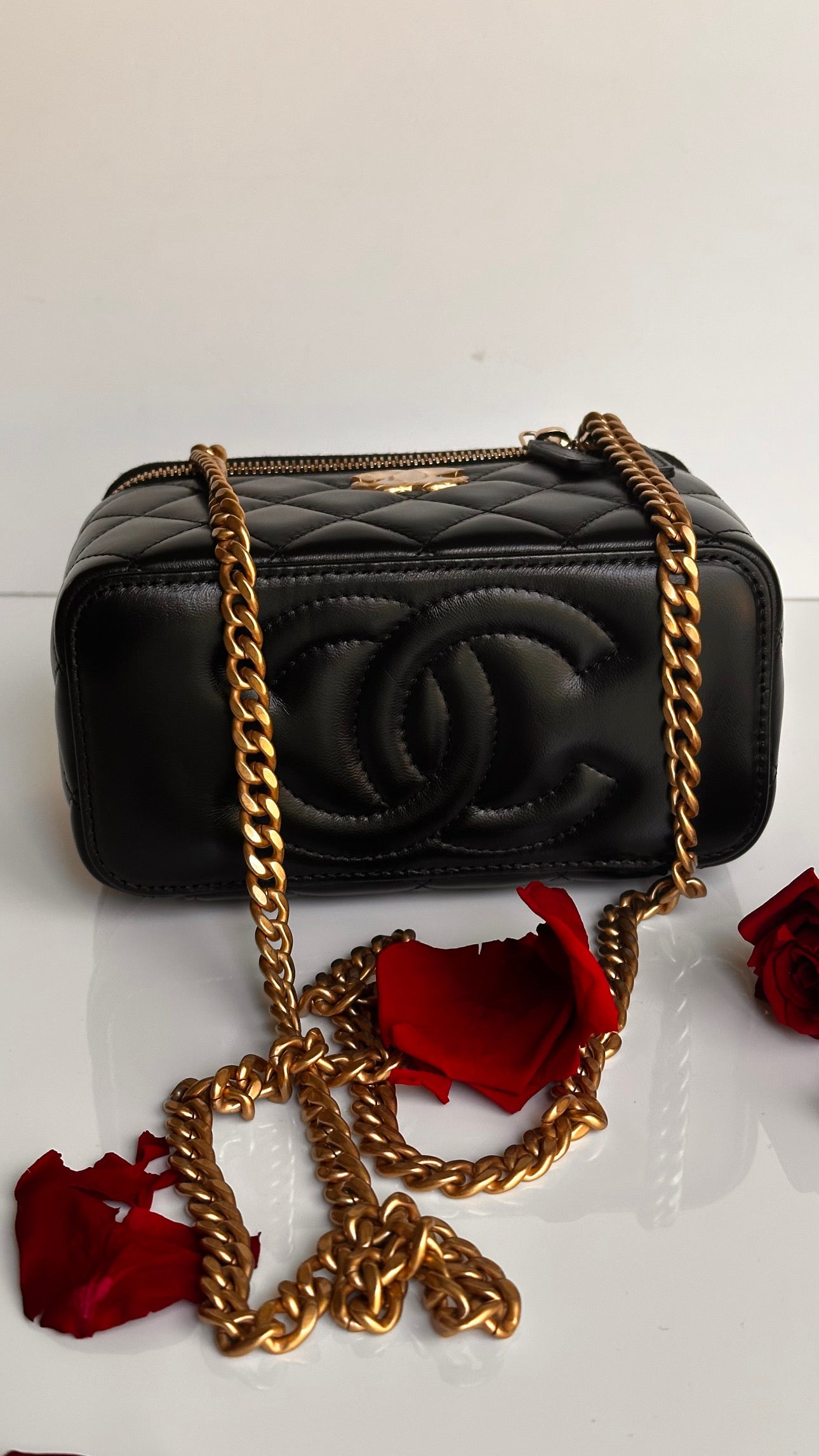 2023 Chanel All Side Long Vanity Bag Black Lambskin Aged Gold Hardware