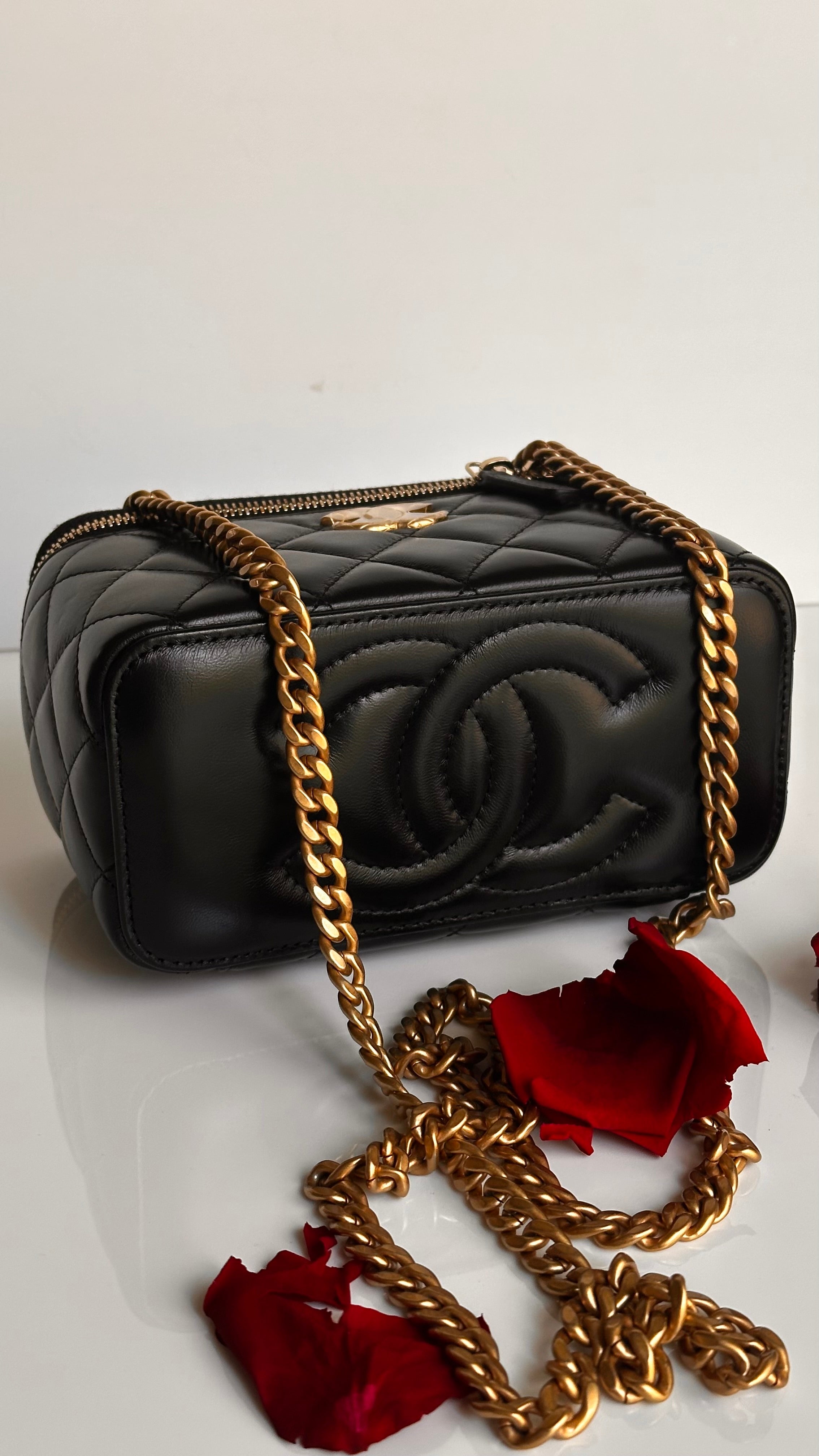 2023 Chanel All Side Long Vanity Bag Black Lambskin Aged Gold Hardware