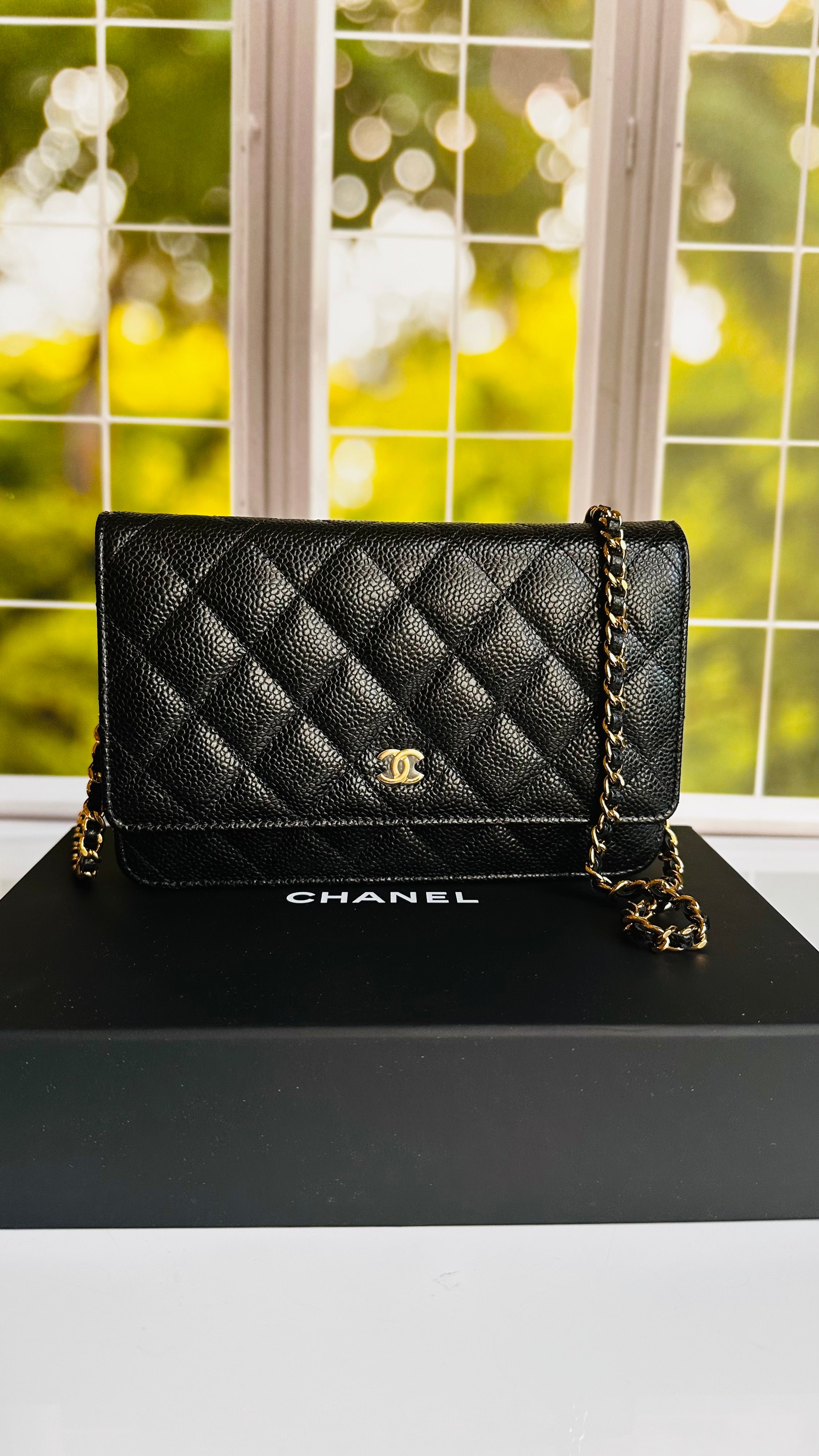 Chanel Wallet on Chain Black Caviar GHW