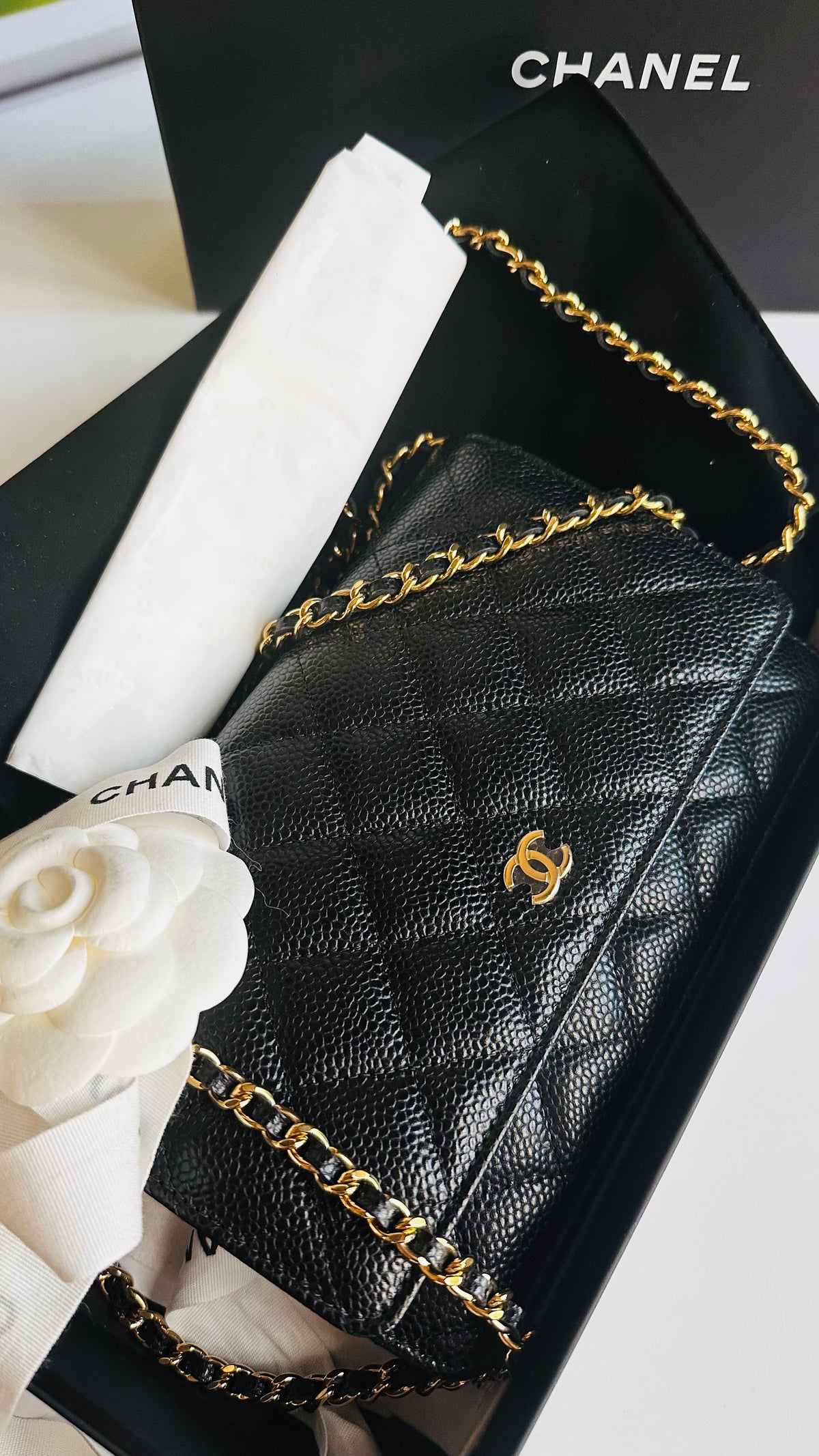 Chanel Wallet on Chain Black Caviar GHW