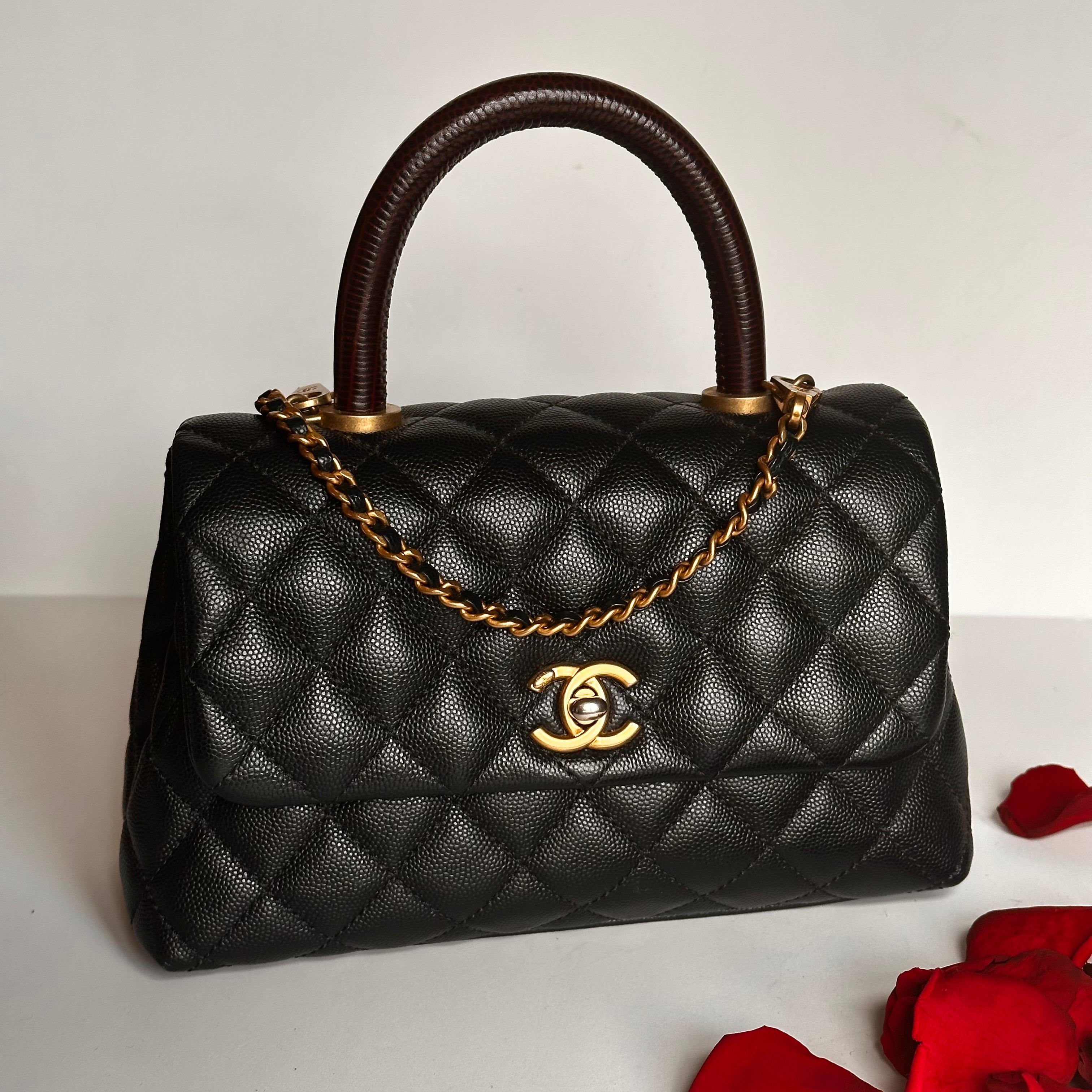 2019 Chanel Small Coco Handle Flap Black Caviar & Dark Burgundy Lizard Embossed Calfskin GHW