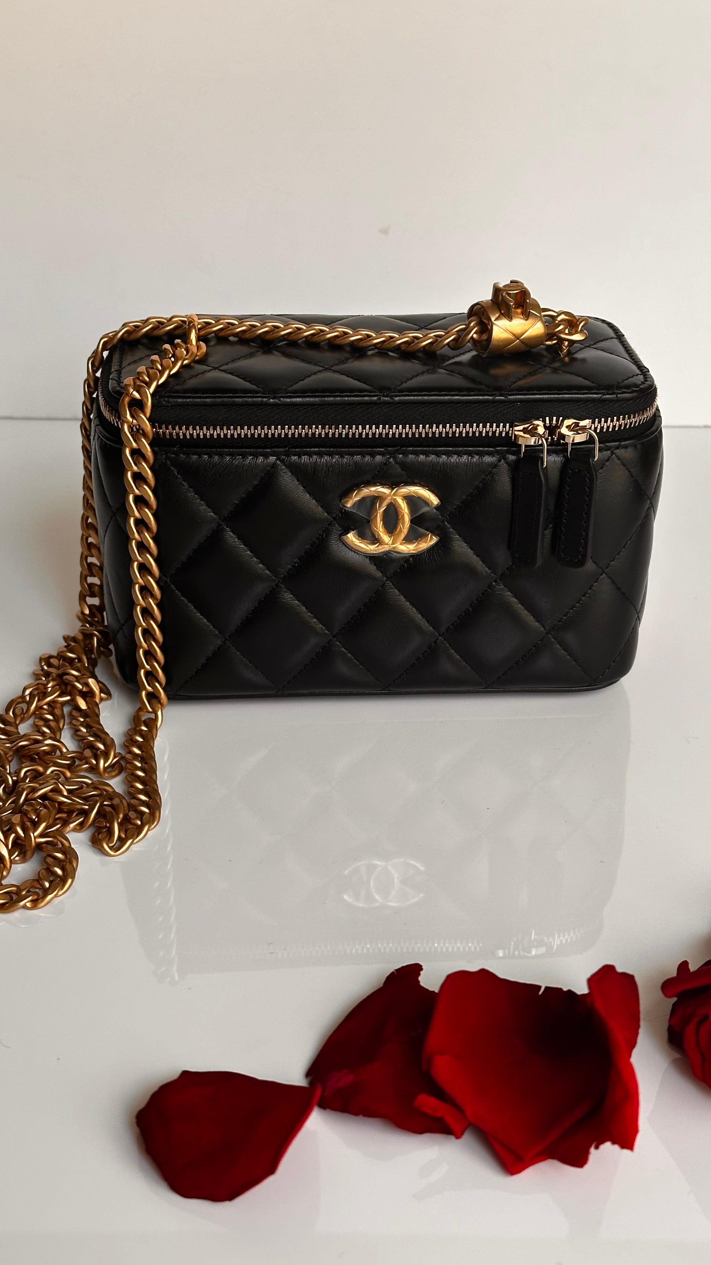 2023 Chanel All Side Long Vanity Bag Black Lambskin Aged Gold Hardware