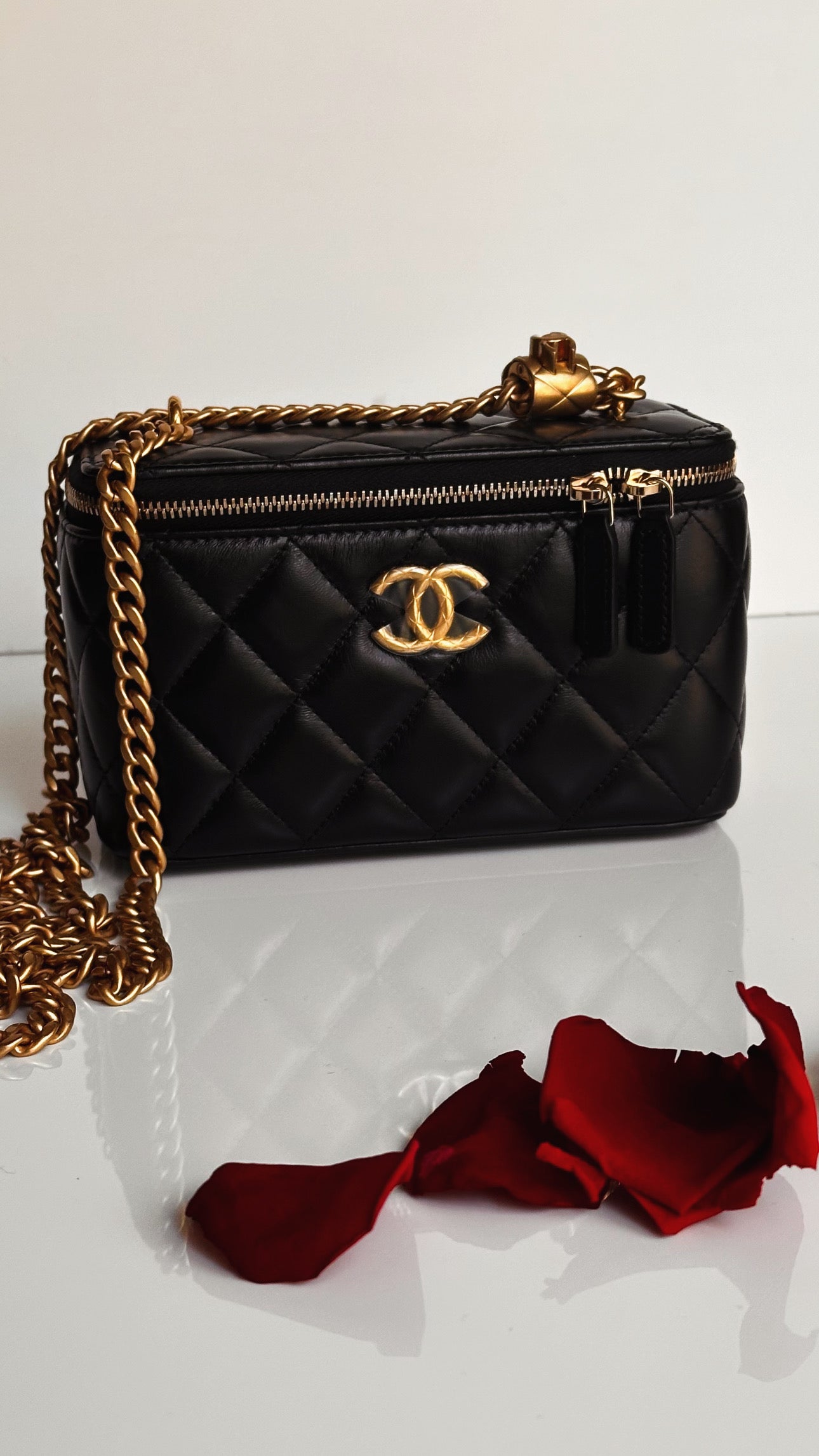2023 Chanel All Side Long Vanity Bag Black Lambskin Aged Gold Hardware