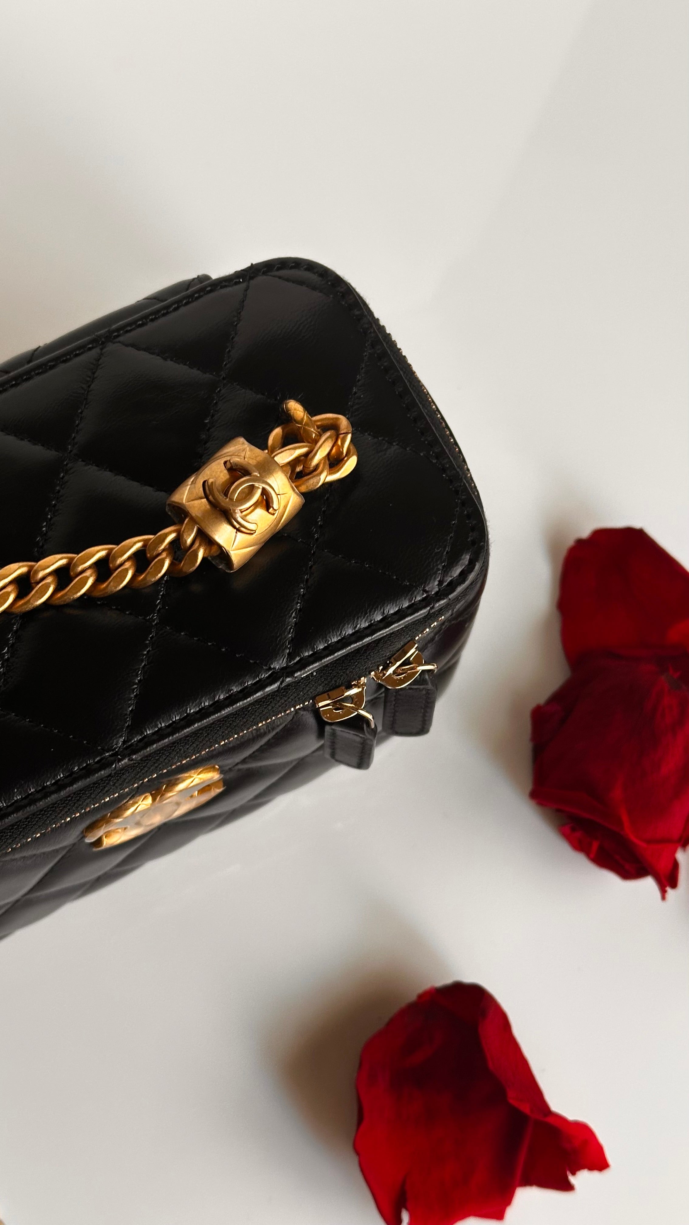 2023 Chanel All Side Long Vanity Bag Black Lambskin Aged Gold Hardware