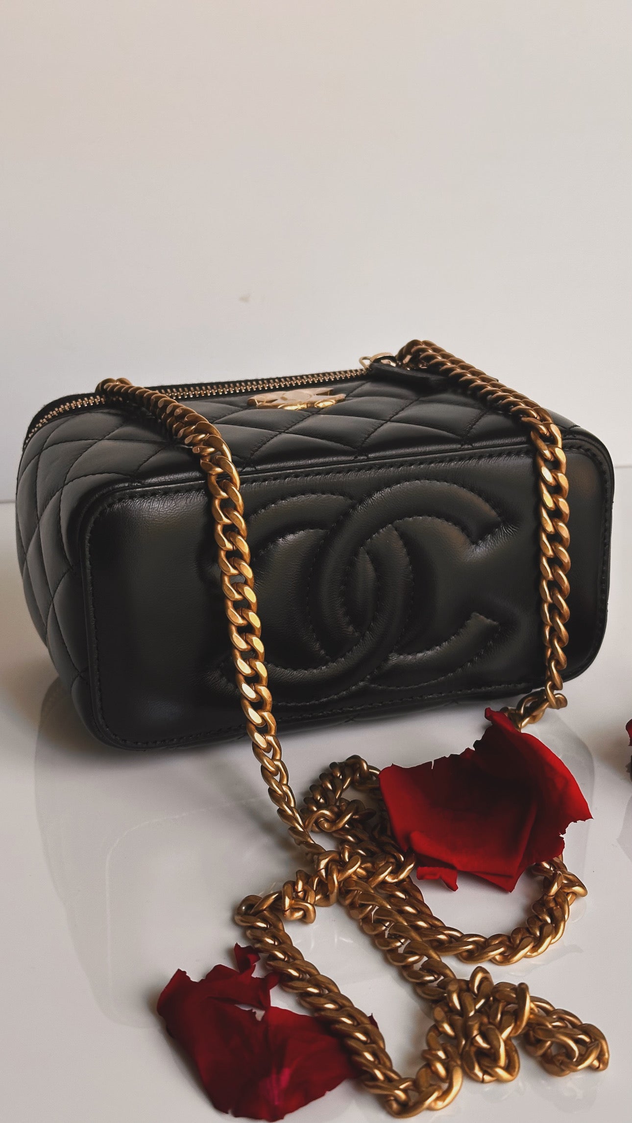 2023 Chanel All Side Long Vanity Bag Black Lambskin Aged Gold Hardware