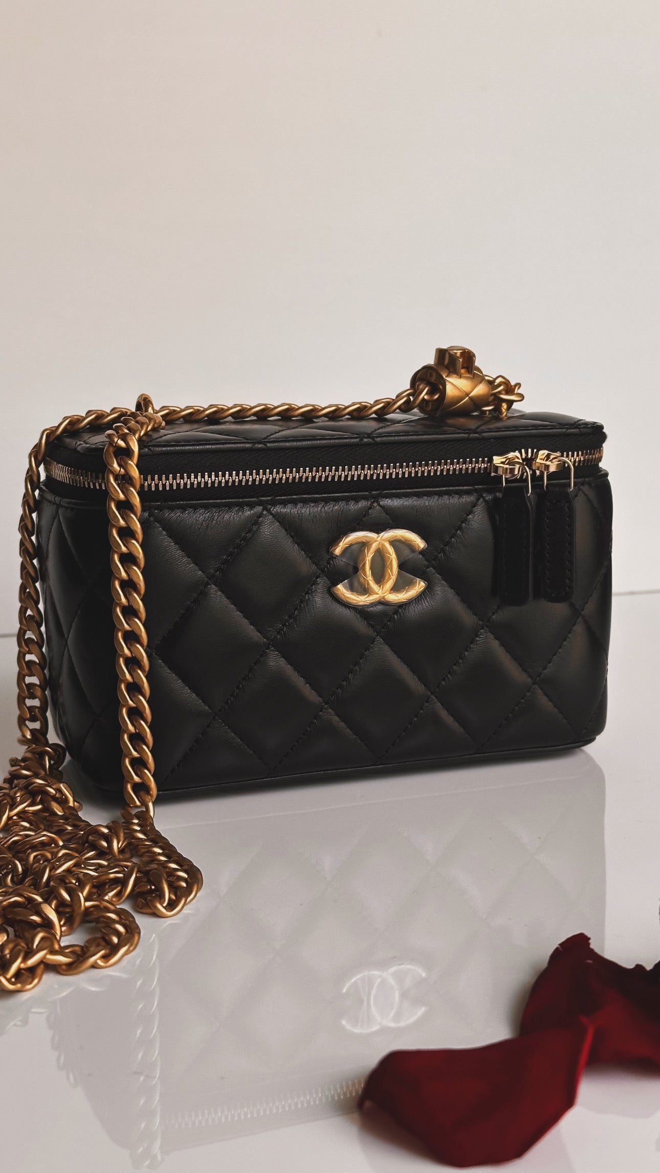 2023 Chanel All Side Long Vanity Bag Black Lambskin Aged Gold Hardware