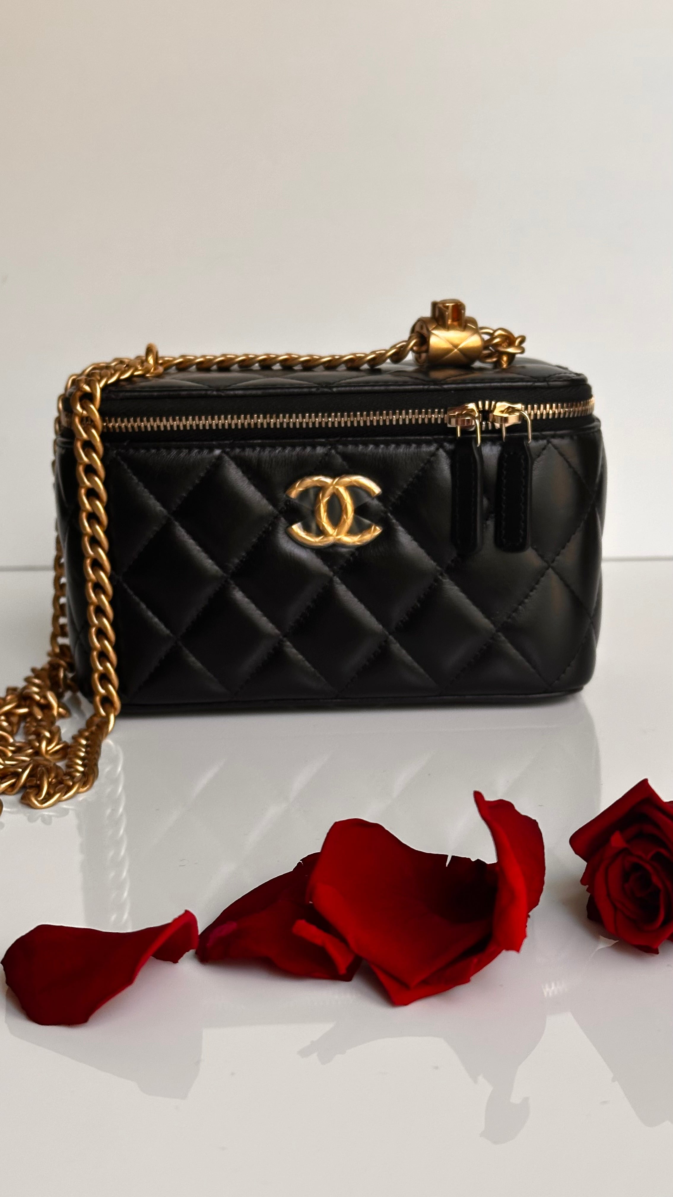 2023 Chanel All Side Long Vanity Bag Black Lambskin Aged Gold Hardware