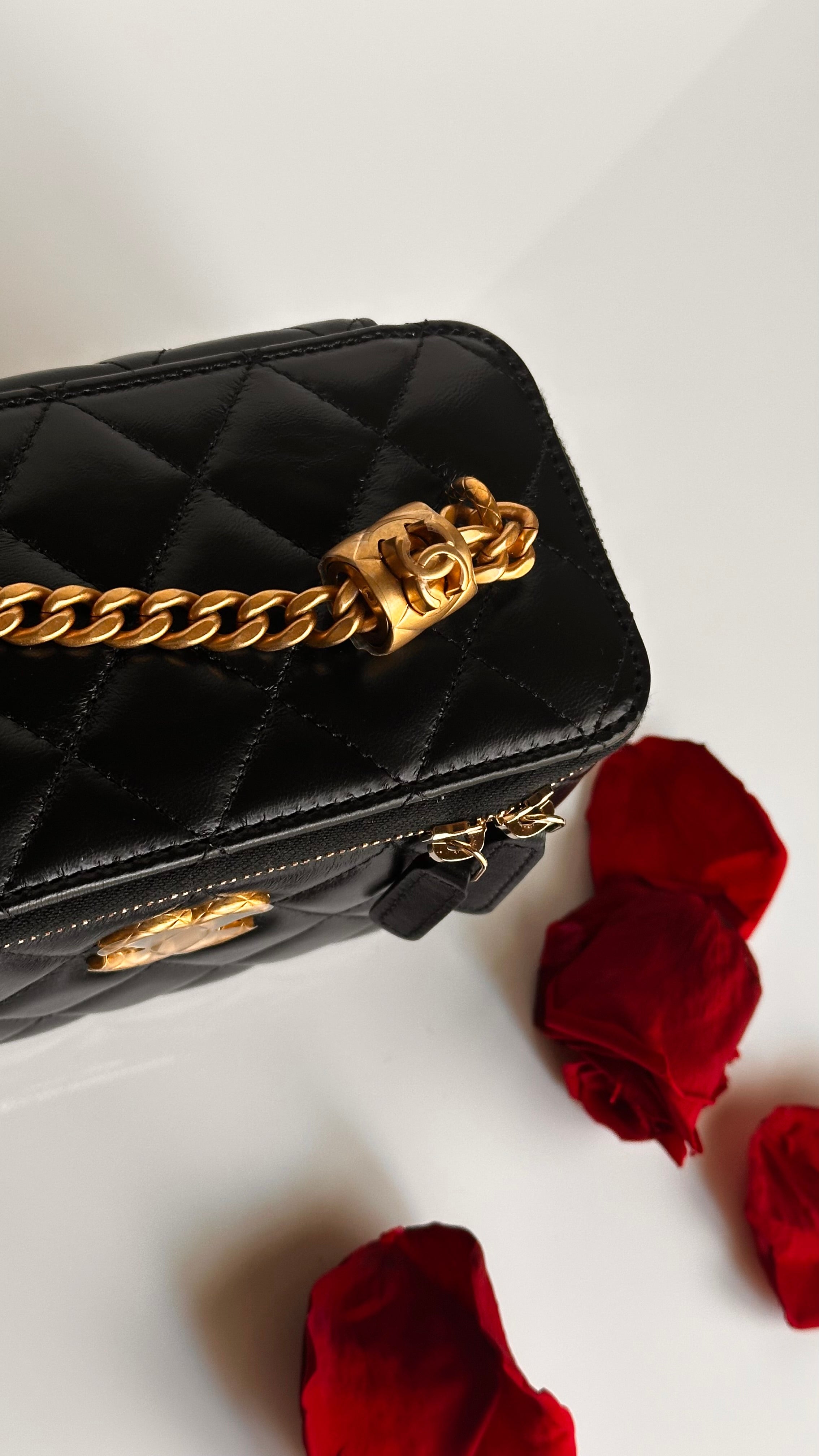 2023 Chanel All Side Long Vanity Bag Black Lambskin Aged Gold Hardware