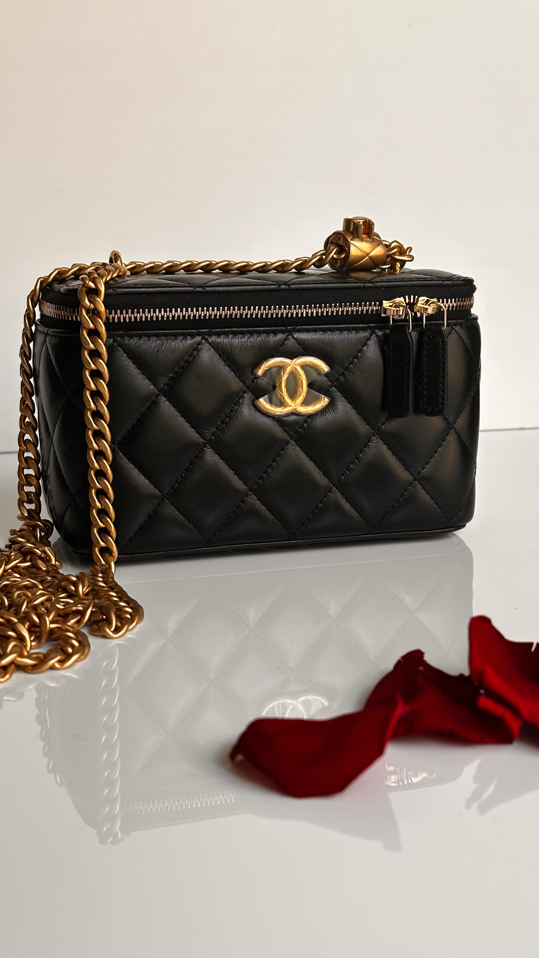 2023 Chanel All Side Long Vanity Bag Black Lambskin Aged Gold Hardware