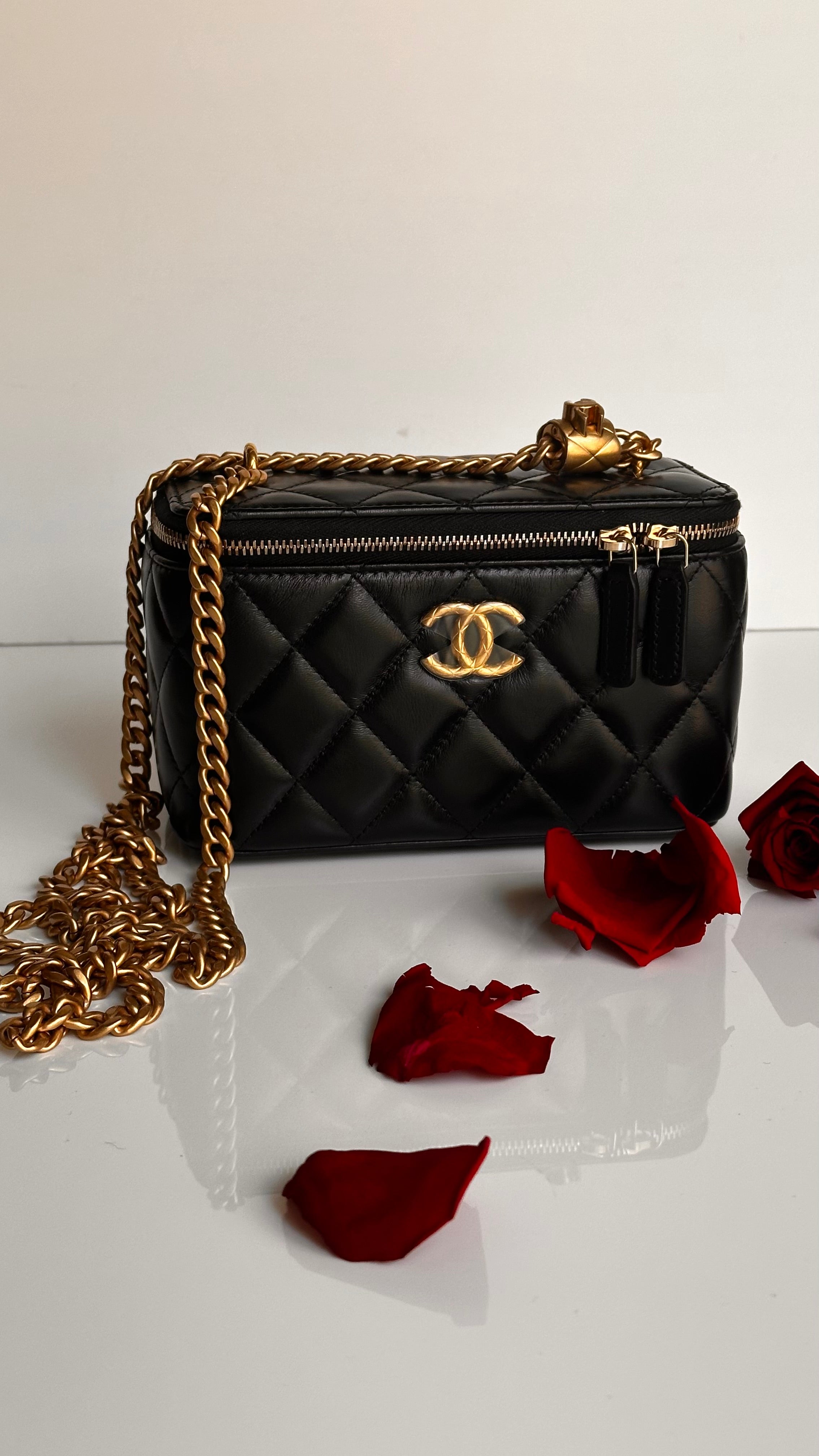2023 Chanel All Side Long Vanity Bag Black Lambskin Aged Gold Hardware