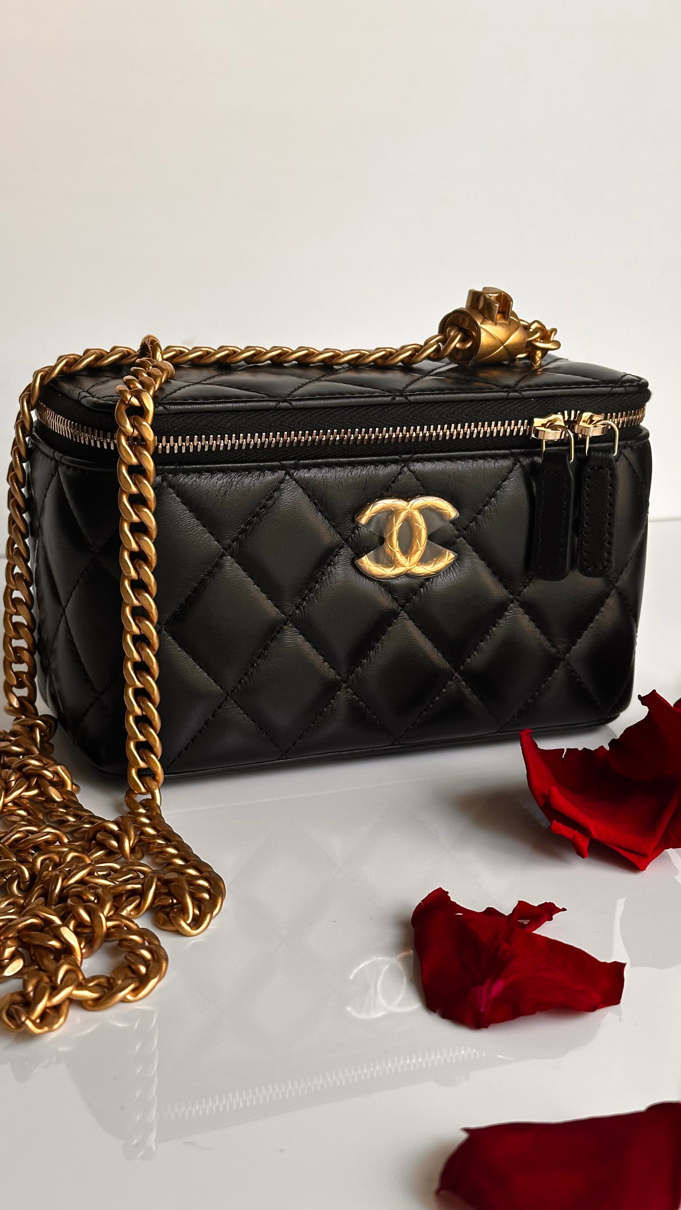 2023 Chanel All Side Long Vanity Bag Black Lambskin Aged Gold Hardware