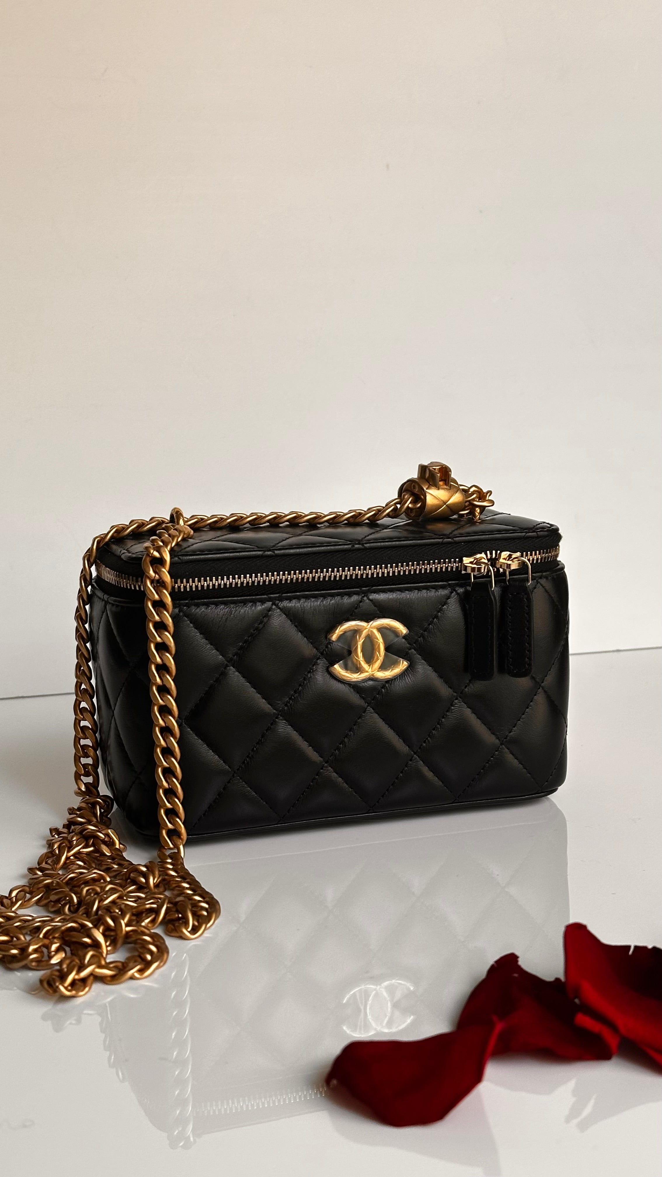 2023 Chanel All Side Long Vanity Bag Black Lambskin Aged Gold Hardware