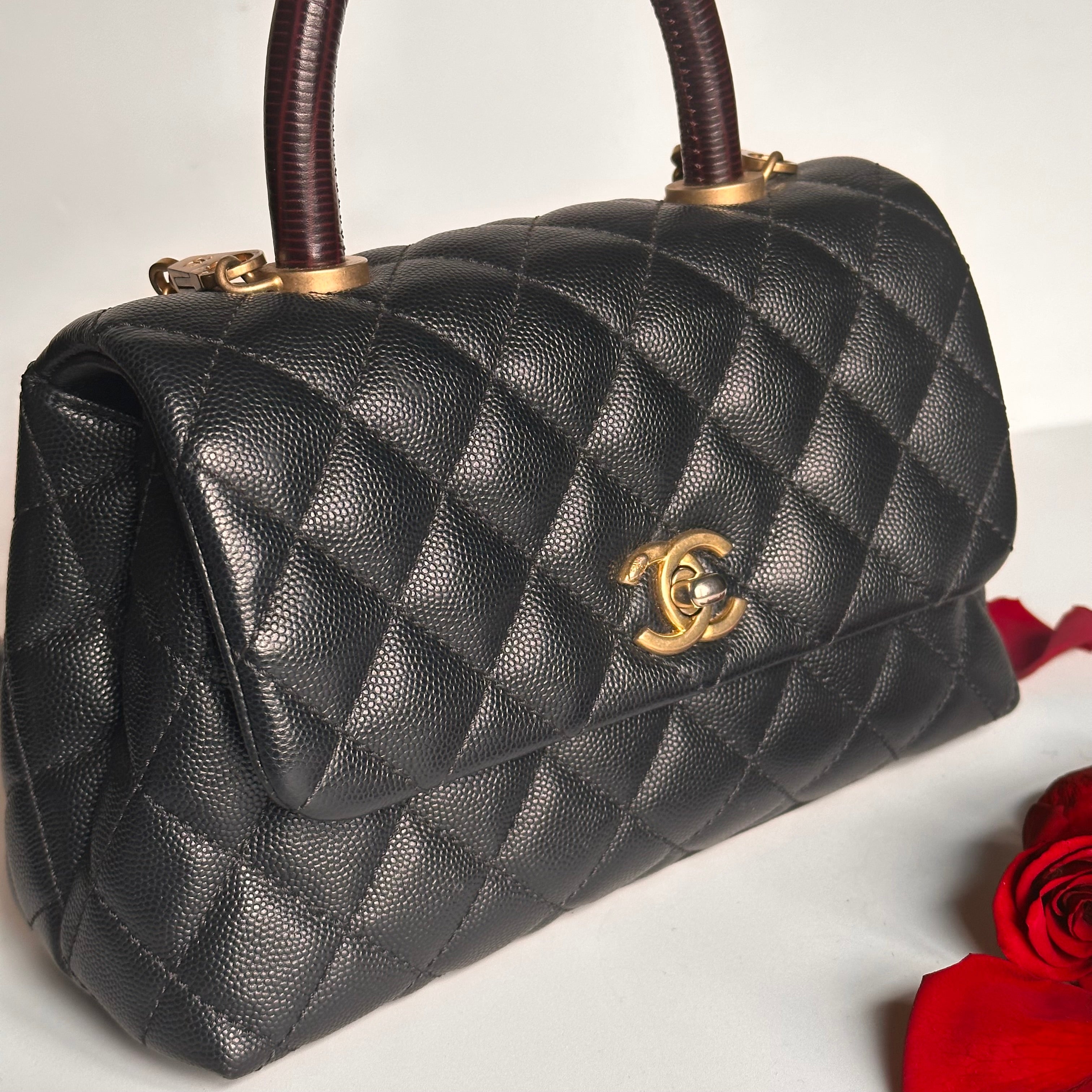 2019 Chanel Small Coco Handle Flap Black Caviar & Dark Burgundy Lizard Embossed Calfskin GHW