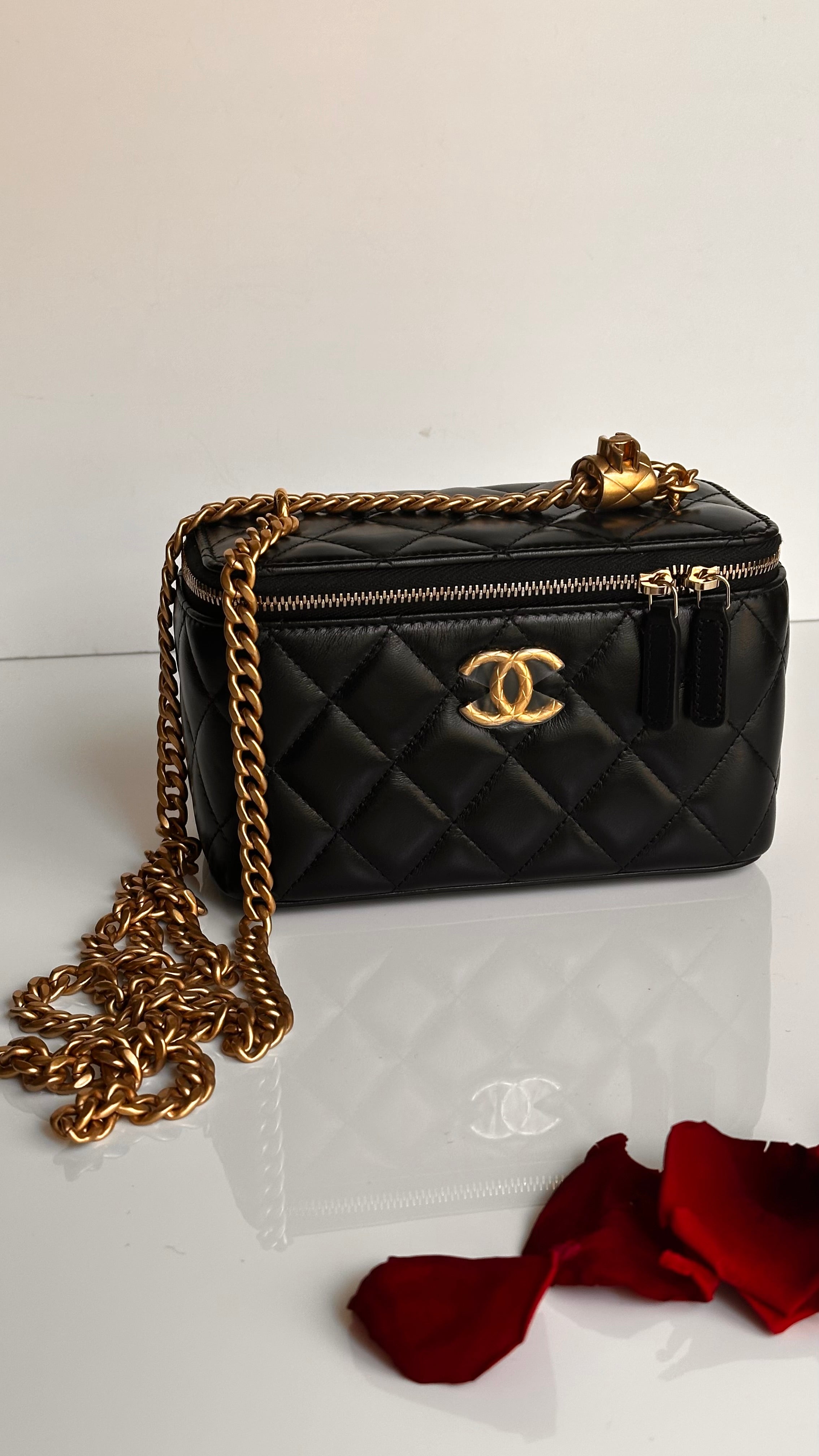 2023 Chanel All Side Long Vanity Bag Black Lambskin Aged Gold Hardware