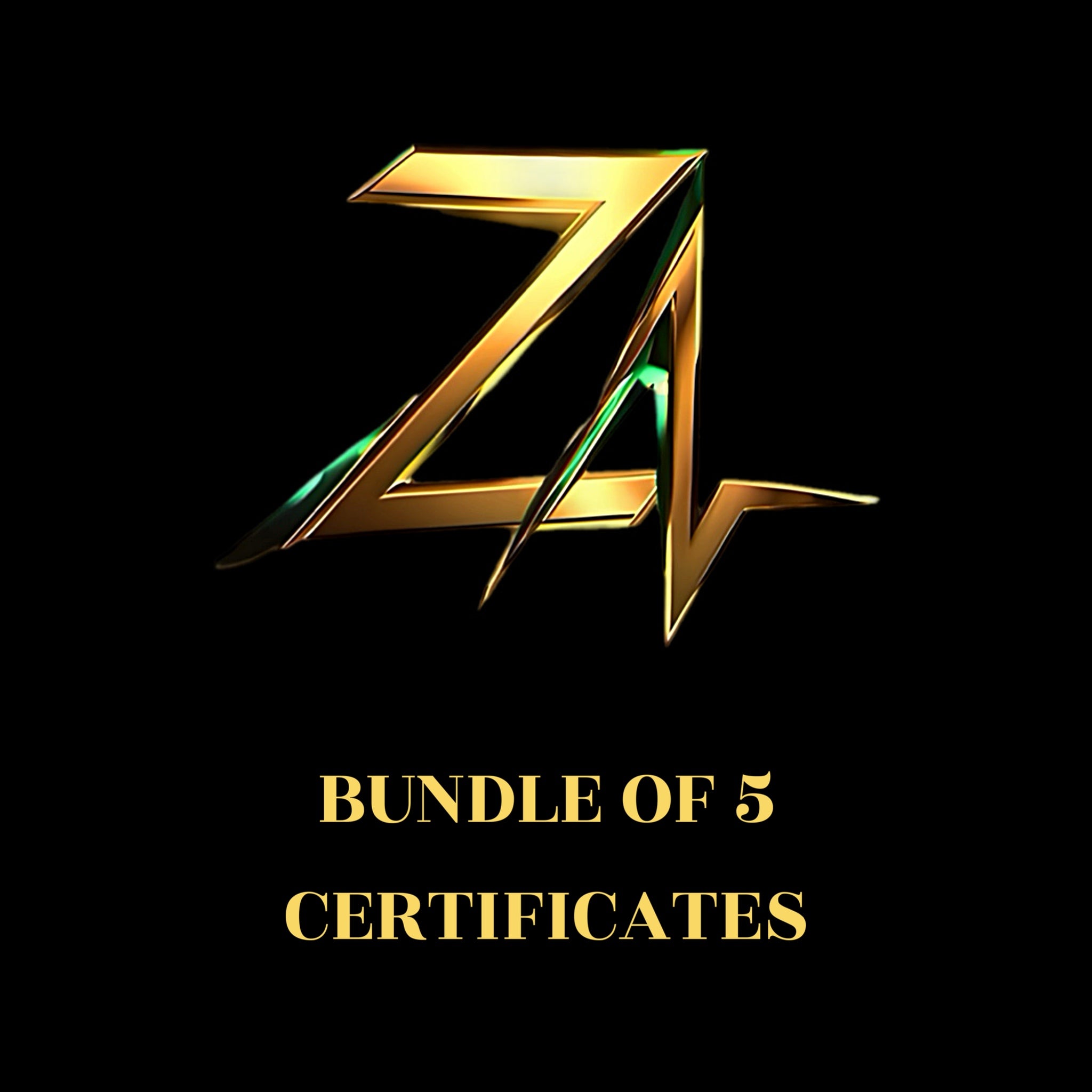 SAVING PACKAGE (5)Certificates