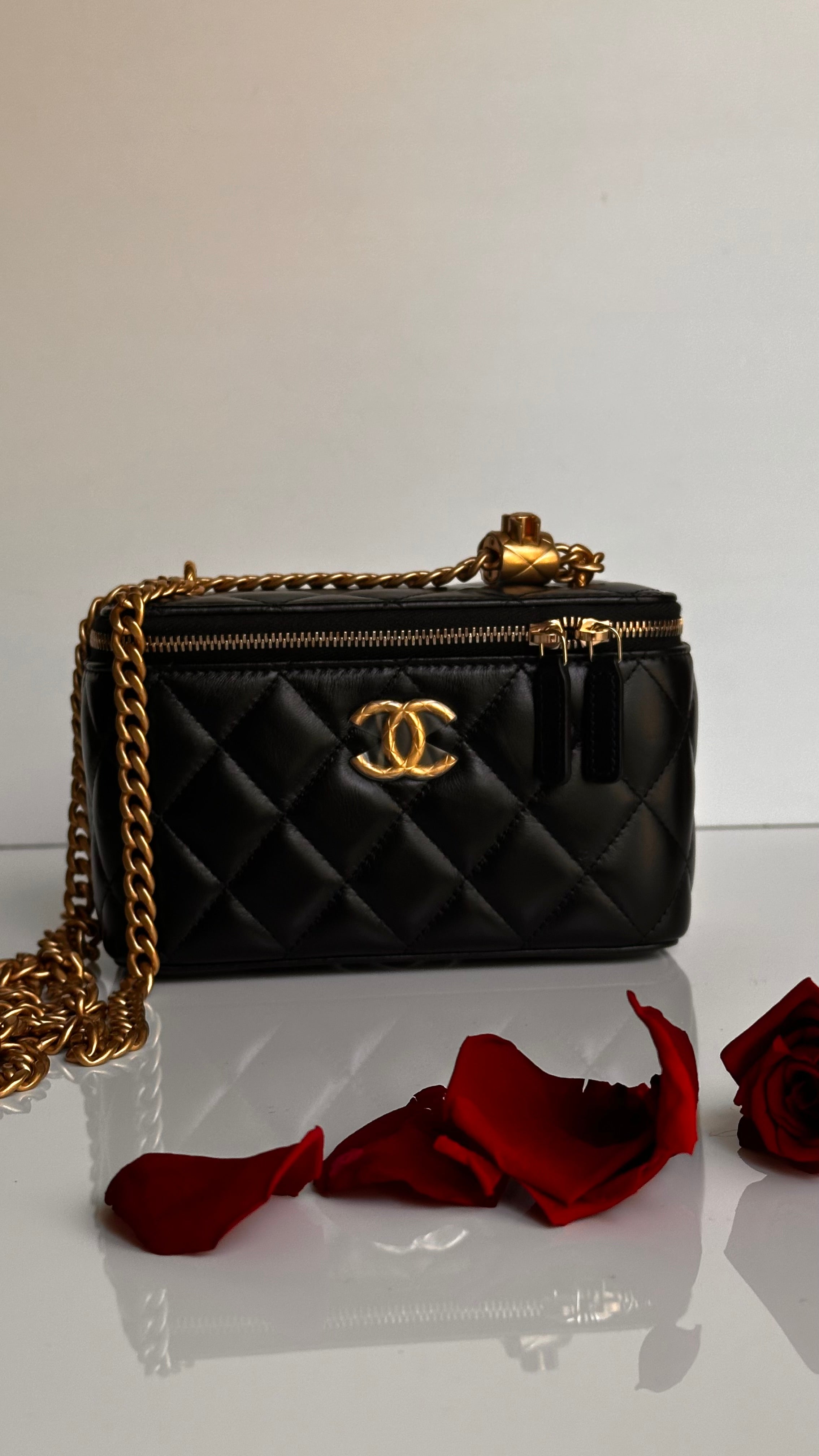 2023 Chanel All Side Long Vanity Bag Black Lambskin Aged Gold Hardware