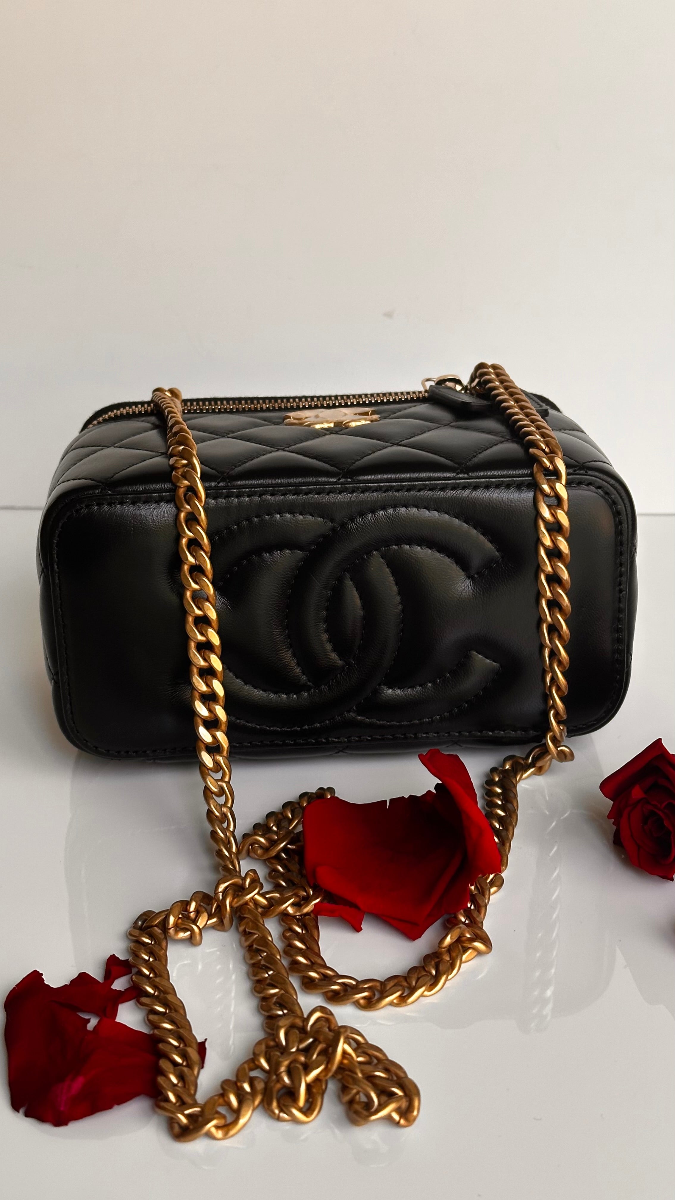 2023 Chanel All Side Long Vanity Bag Black Lambskin Aged Gold Hardware